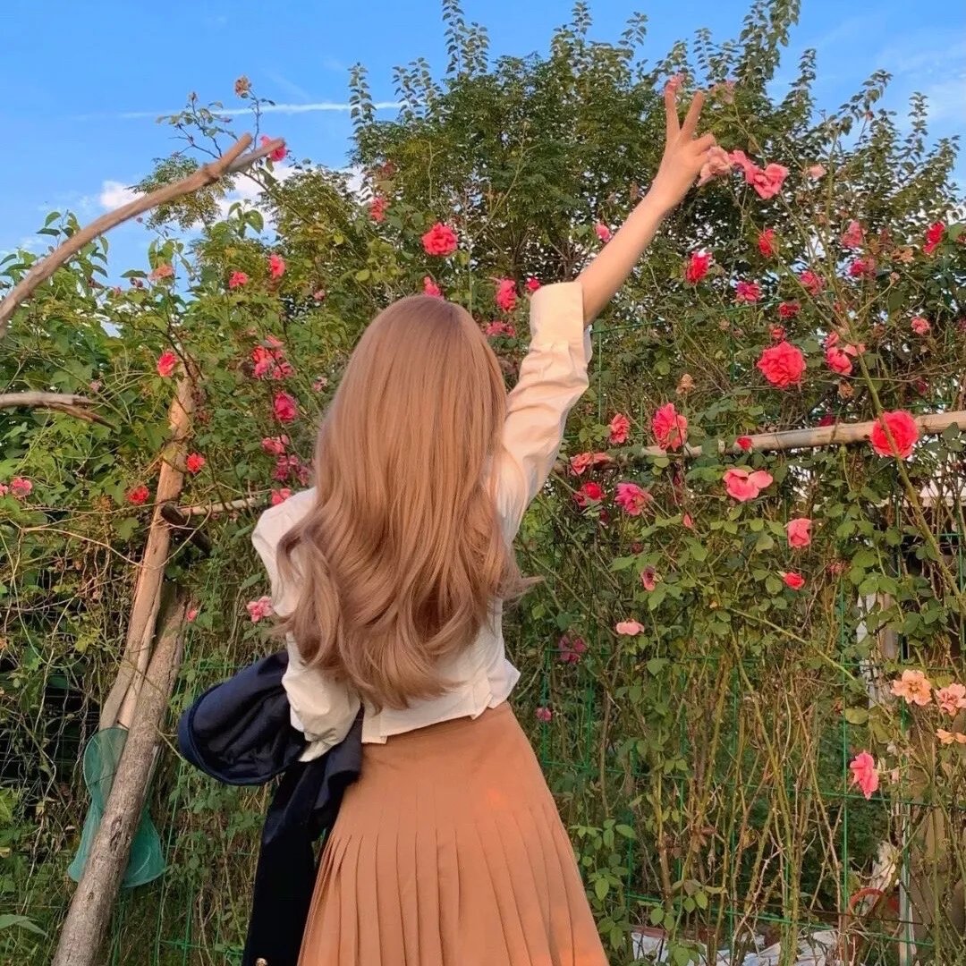 蜘蛛与郁金香